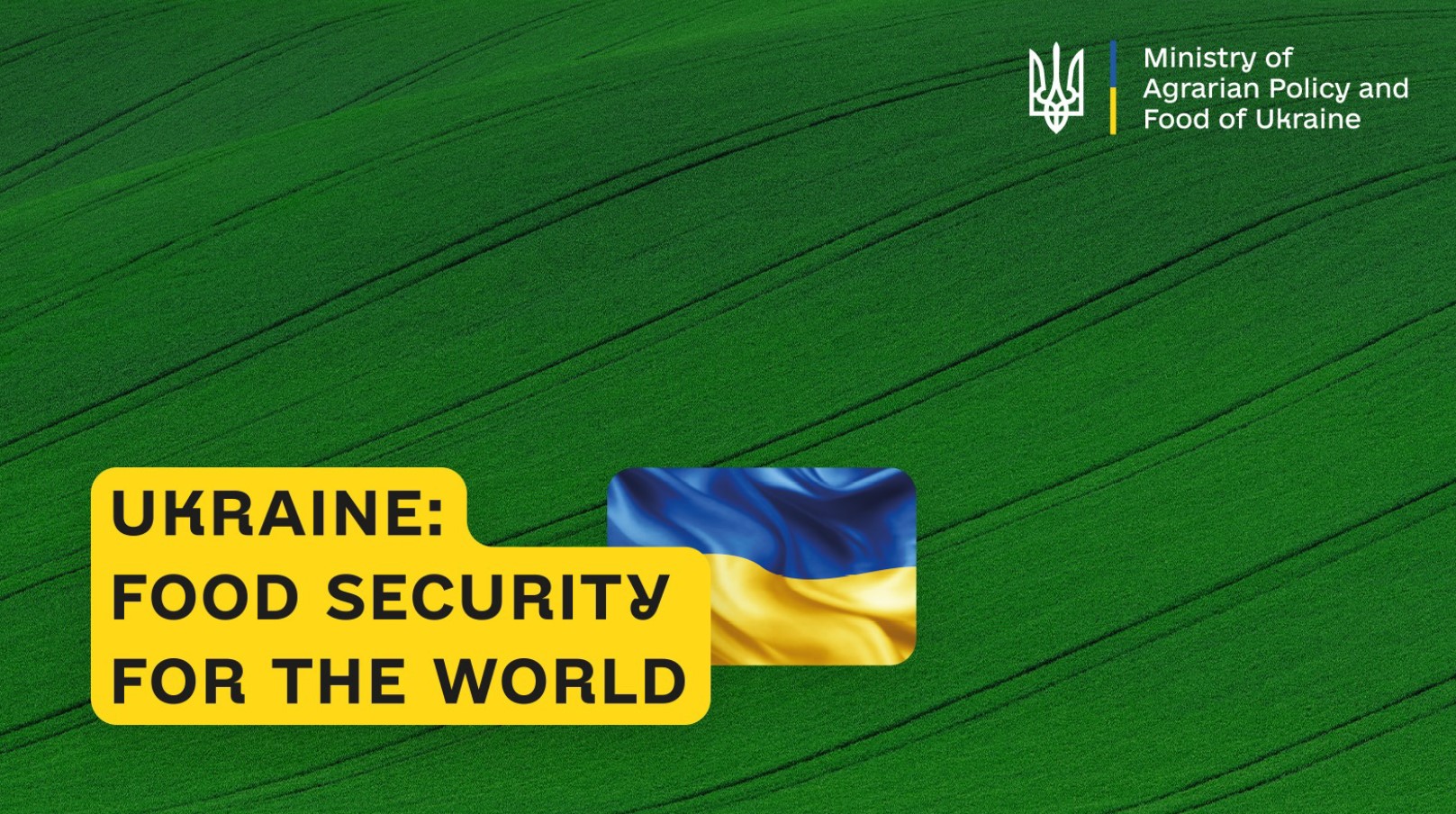 Ukraine:  Food Security For The World