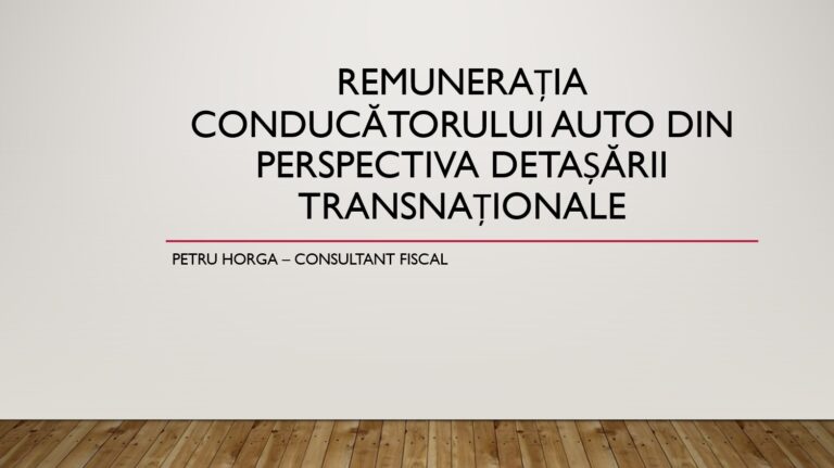 Prezentare Petrica Horga - Remuneratie soferi