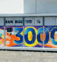 fan courier