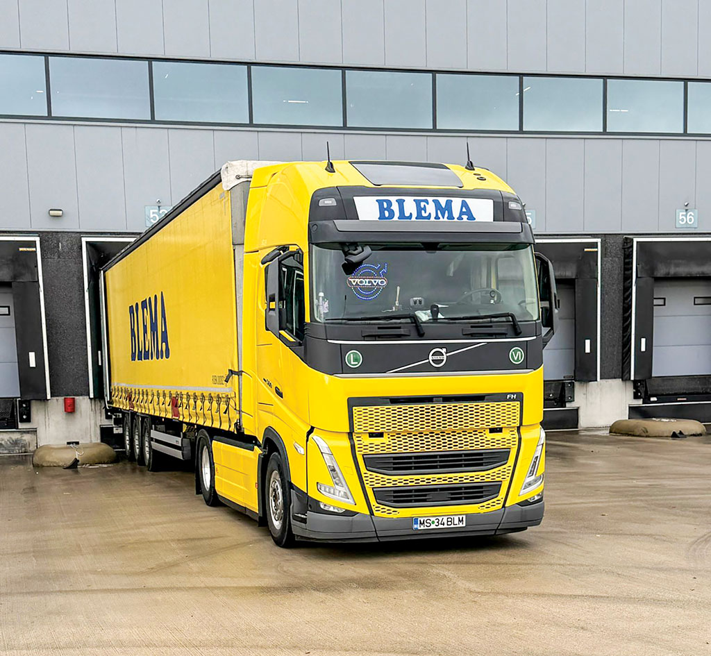blema trans 1